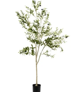 Kunstig plante OLIVE TREE 178 cm Grøn