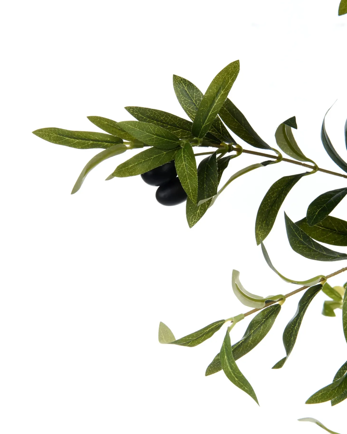 Kunstig plante OLIVE TREE 178 cm Grøn
