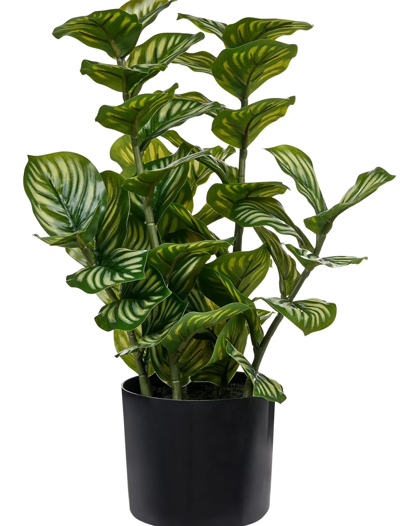 Kunstig plante ORBIFOLIA 50 cm Grøn