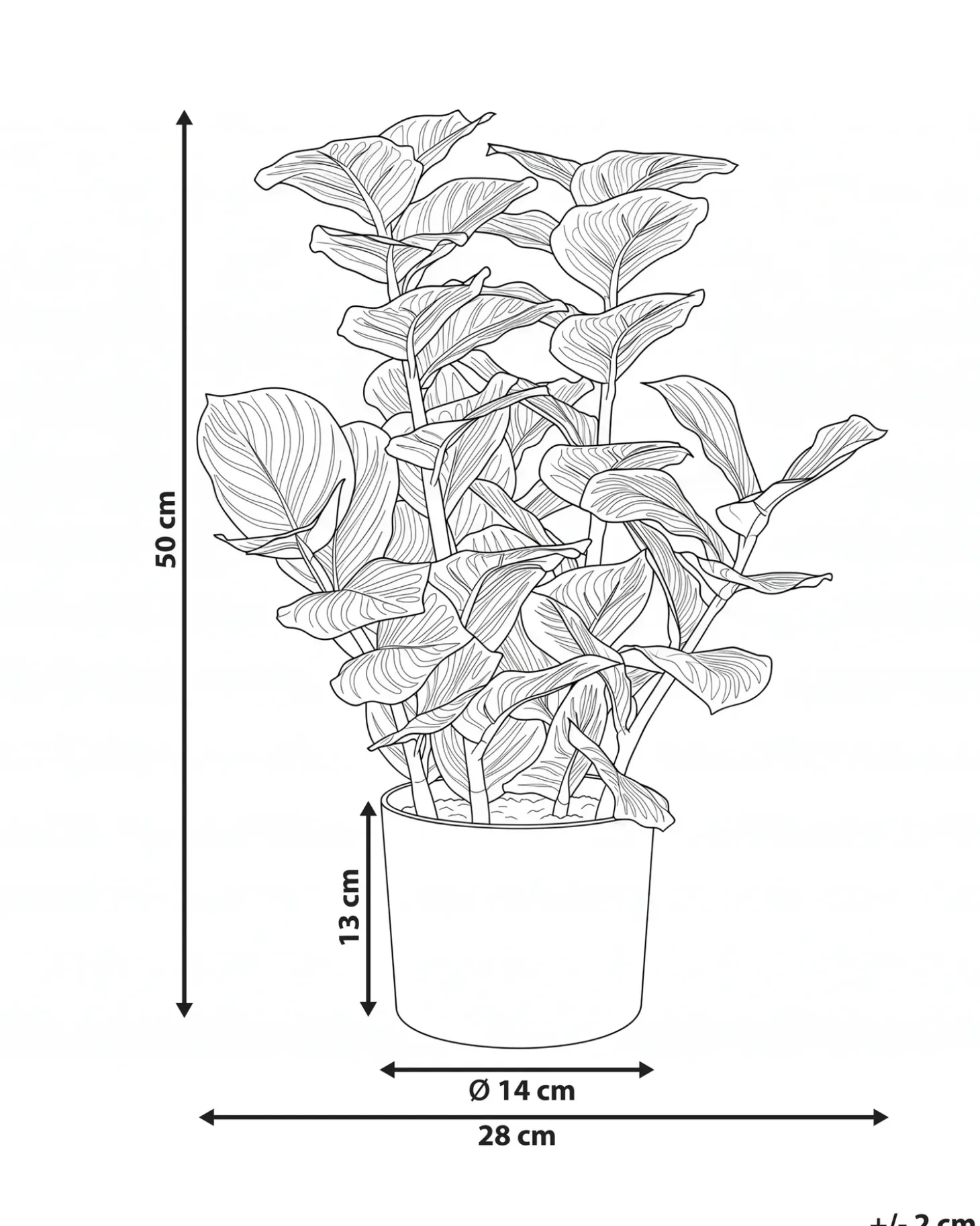 Kunstig plante ORBIFOLIA 50 cm Grøn