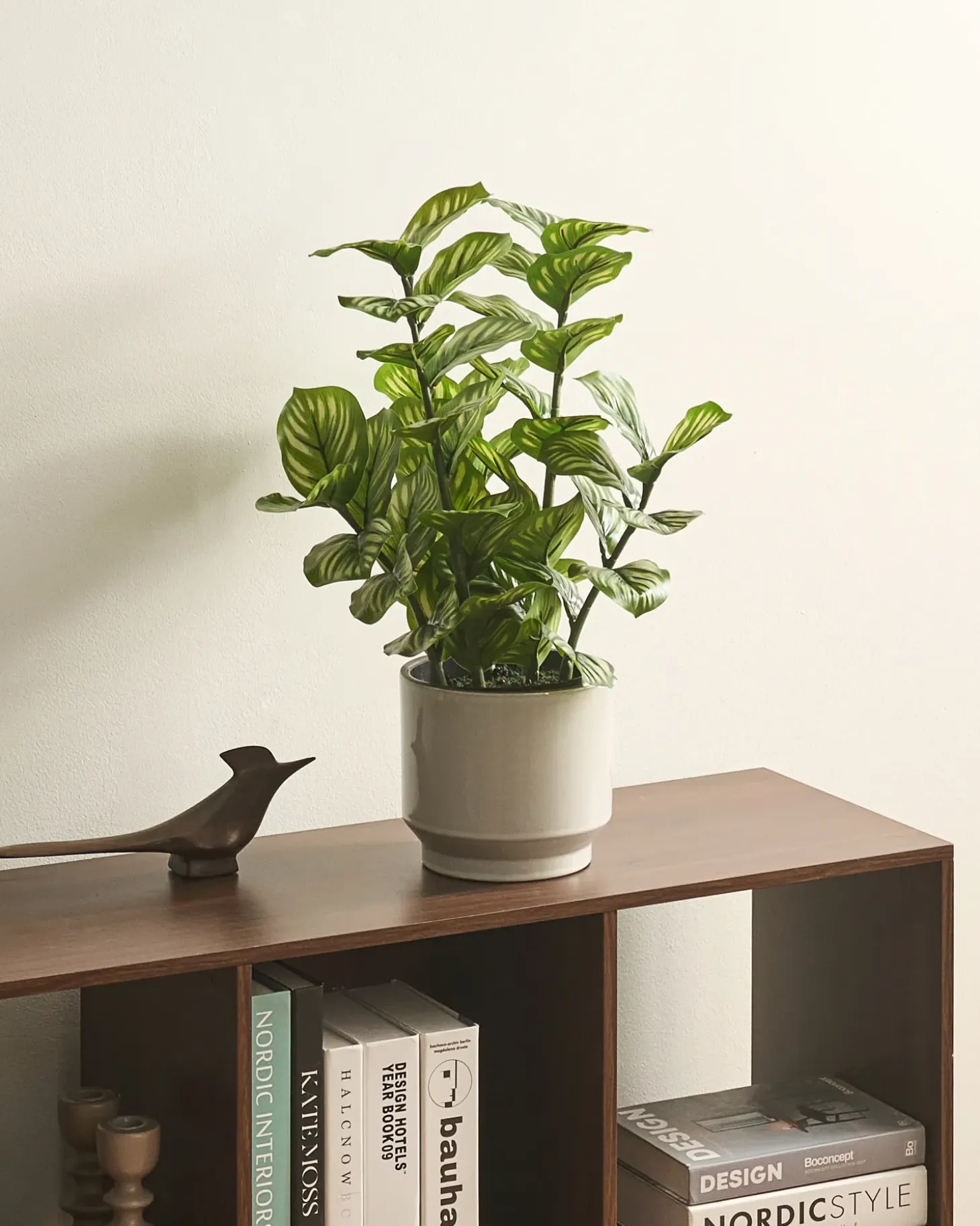 Kunstig plante ORBIFOLIA 50 cm Grøn