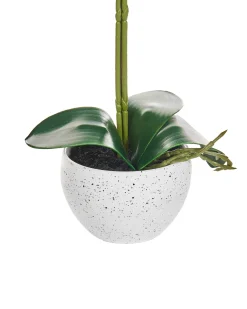 Kunstig plante ORCHID 42 cm Hvid