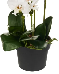 Kunstig plante ORCHID 65 cm Hvid