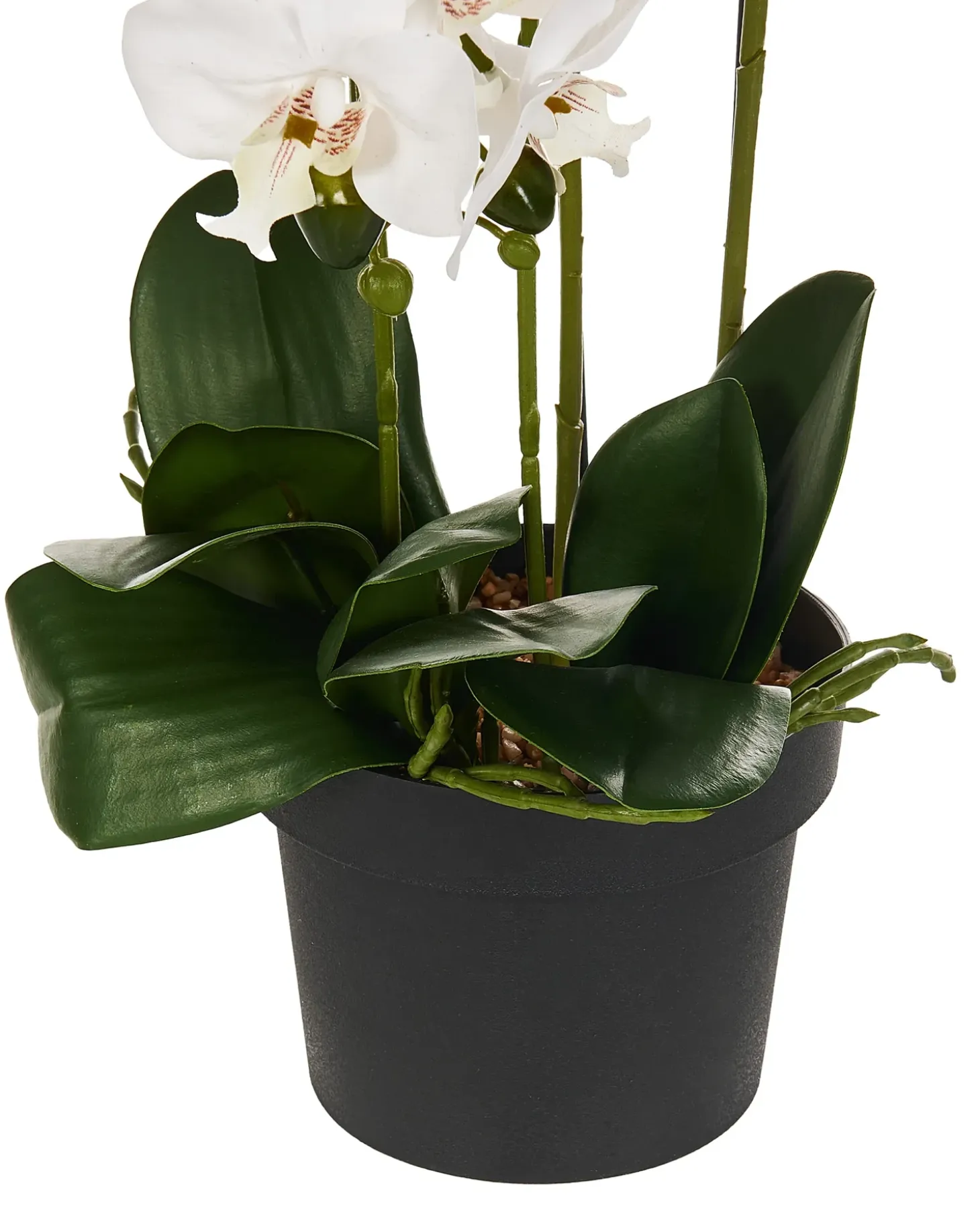 Kunstig plante ORCHID 65 cm Hvid