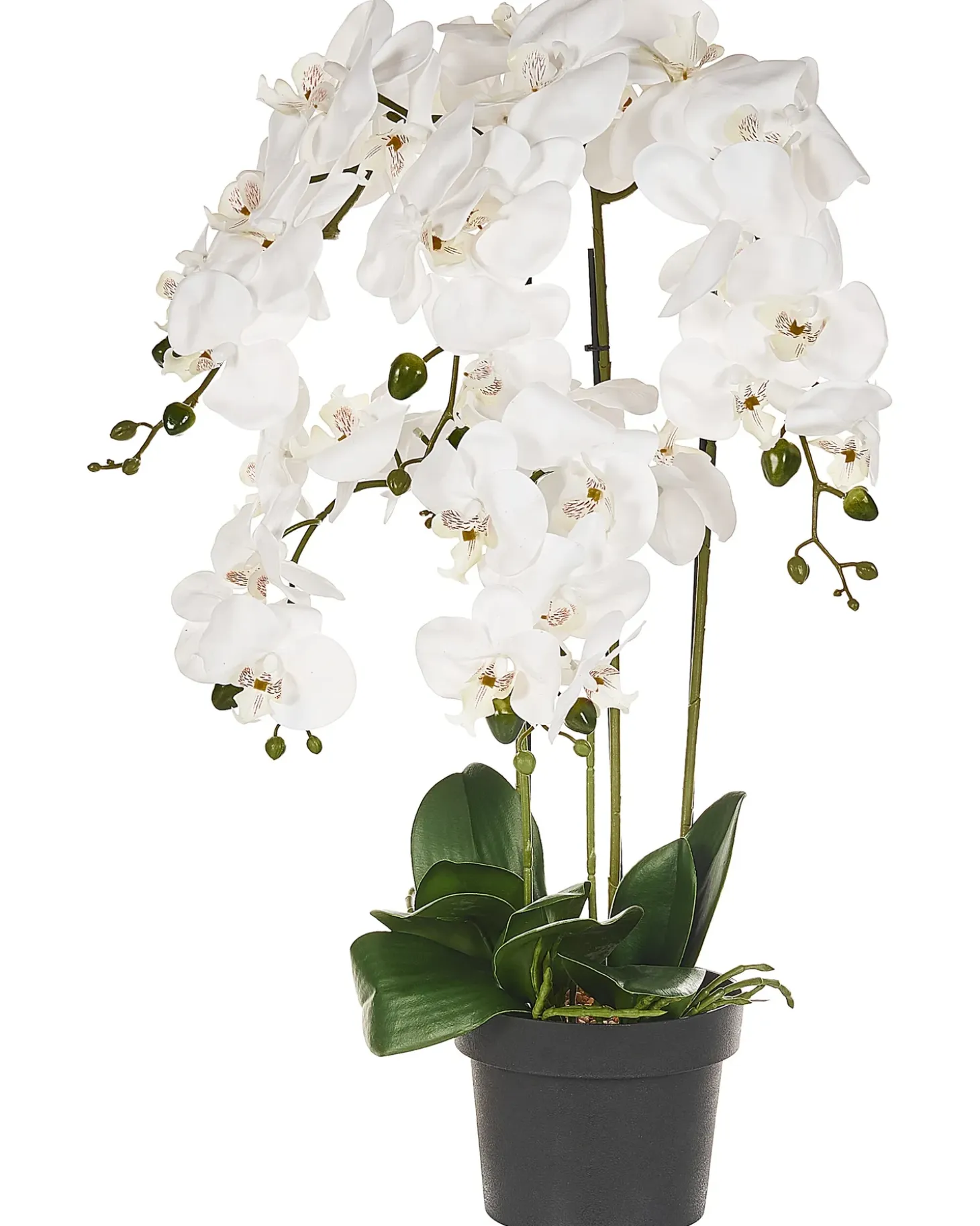 Kunstig plante ORCHID 65 cm Hvid