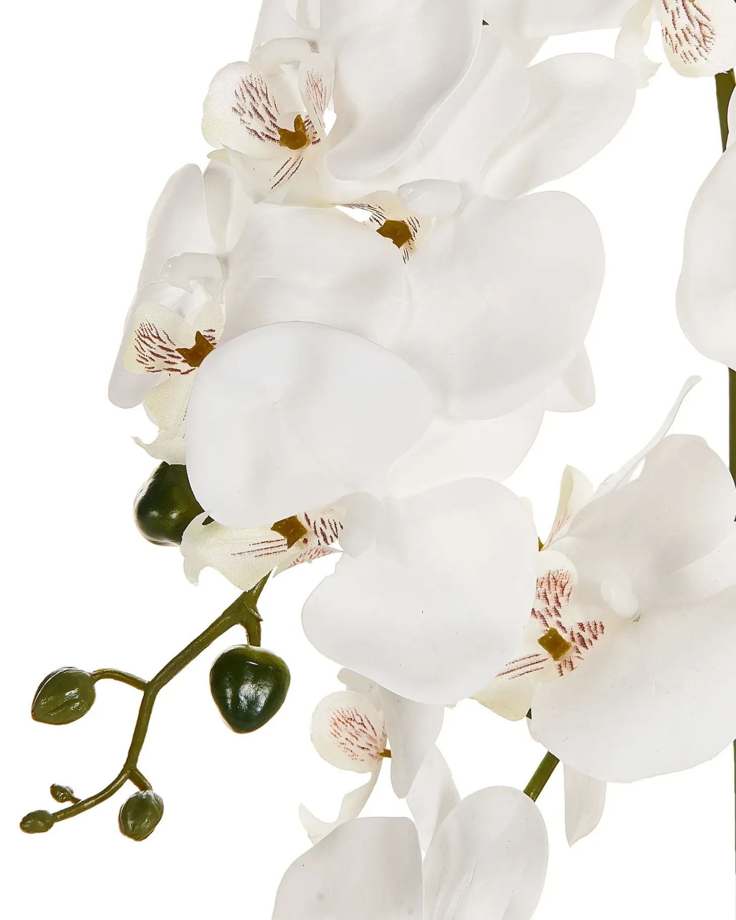 Kunstig plante ORCHID 65 cm Hvid