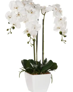 Kunstig plante ORCHID 59 cm Hvid