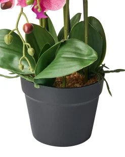 Kunstig plante ORCHID 65 cm Lyserød