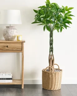 Kunstig plante PACHIRA TREE 120 cm Grøn