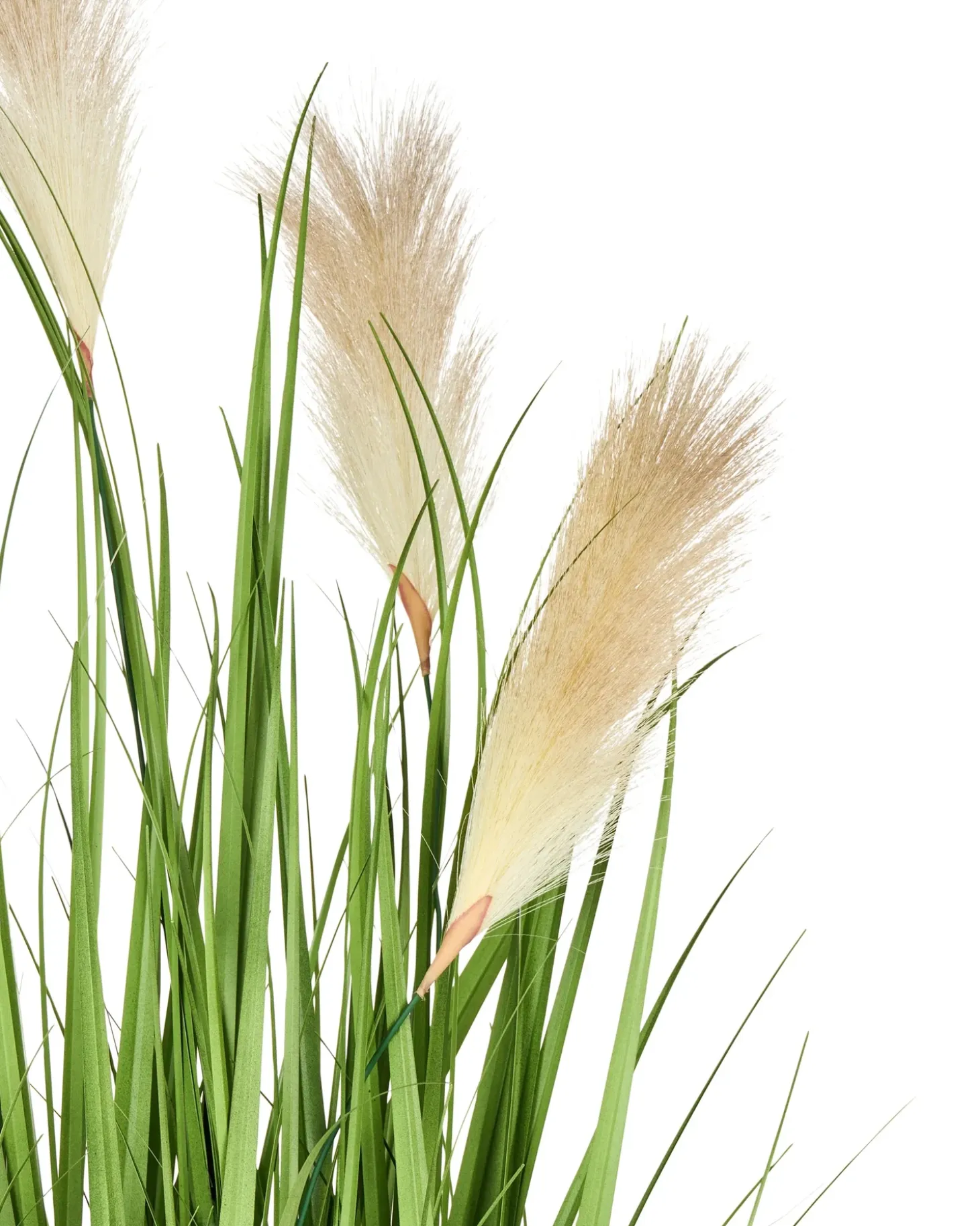 Kunstig plante PAMPAS GRASS 130 cm Grøn