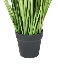 Kunstig plante PAMPAS GRASS 130 cm Grøn
