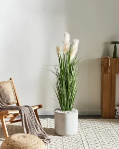 Kunstig plante PAMPAS GRASS 130 cm Grøn