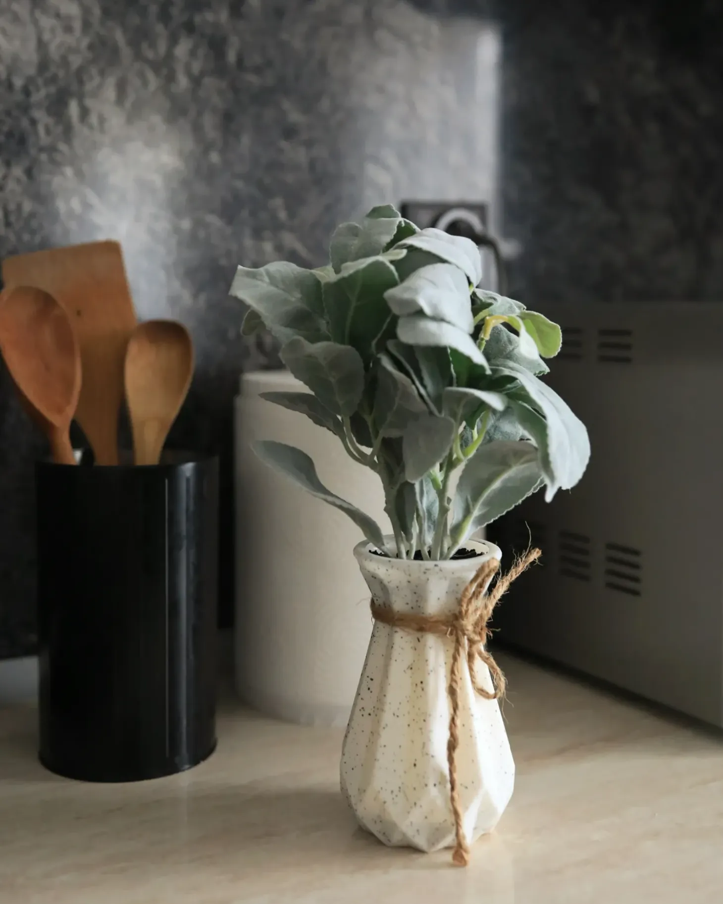 Kunstig plante PEPEROMIA ARGYREIA 30 cm Grøn