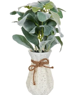 Kunstig plante PEPEROMIA ARGYREIA 30 cm Grøn