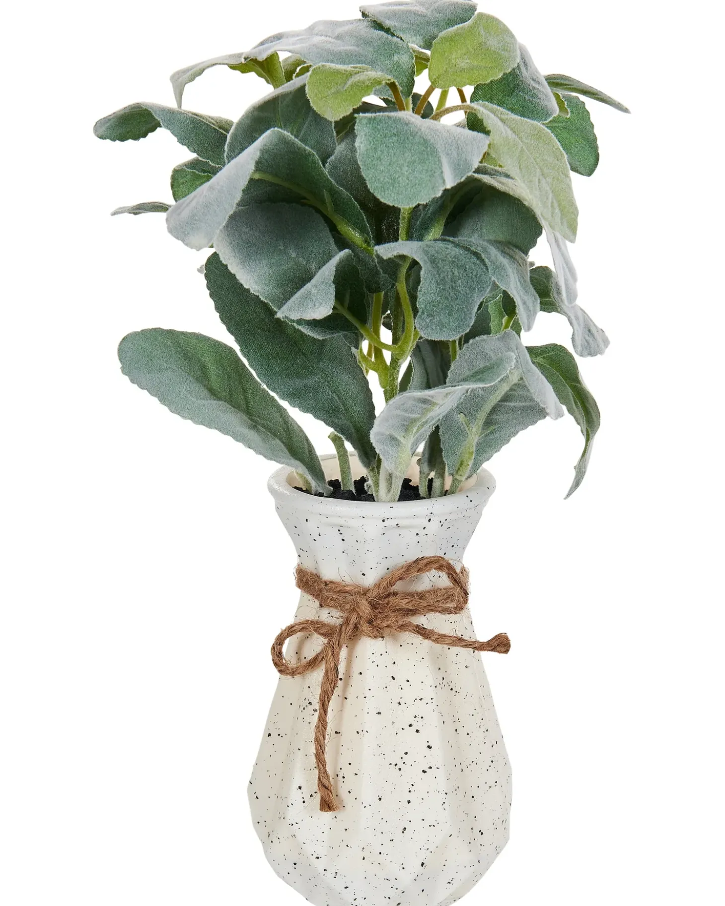 Kunstig plante PEPEROMIA ARGYREIA 30 cm Grøn