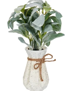 Kunstig plante PEPEROMIA ARGYREIA 30 cm Grøn
