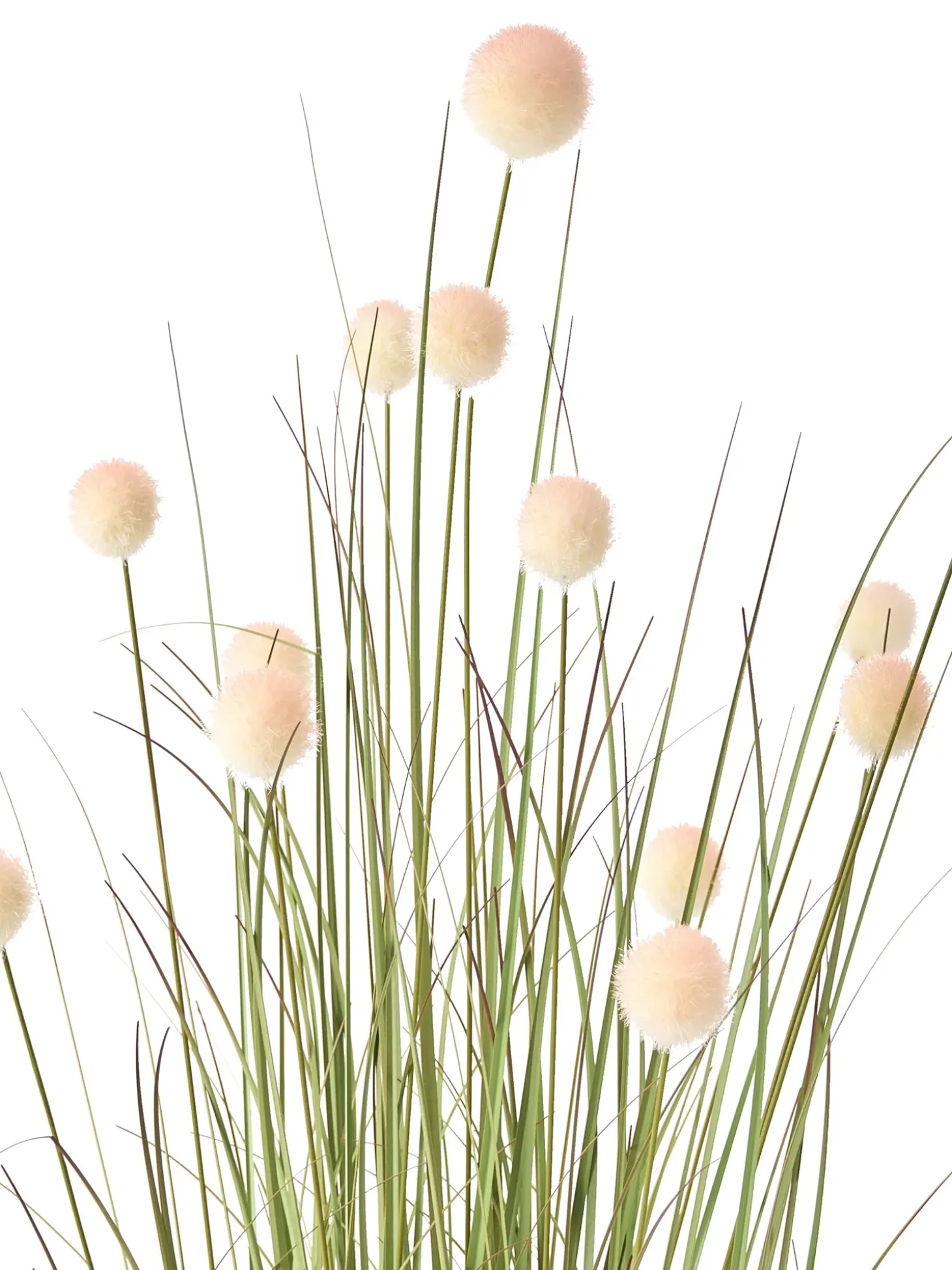 Kunstig plante POMPOM GRASS 120 cm Grøn