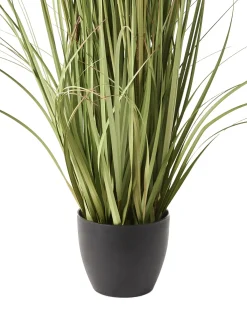 Kunstig plante POMPOM GRASS 120 cm Grøn