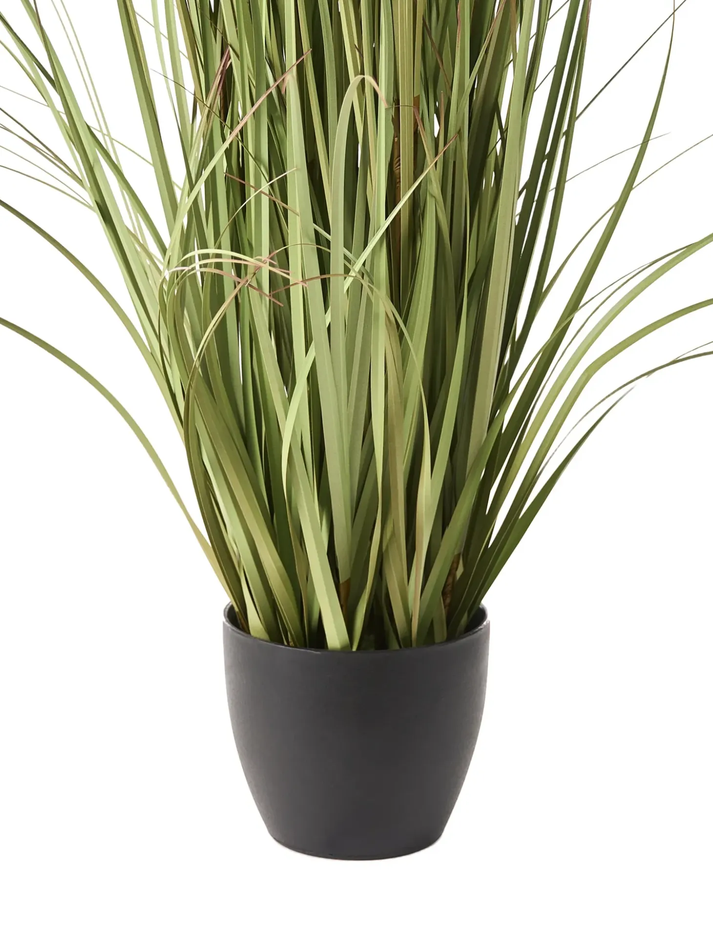 Kunstig plante POMPOM GRASS 120 cm Grøn