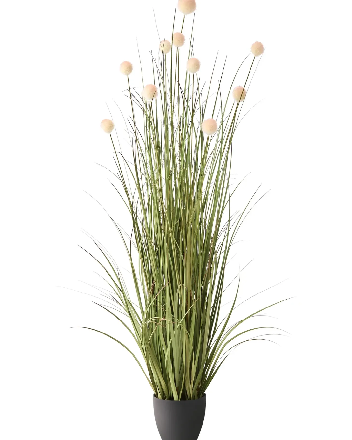 Kunstig plante POMPOM GRASS 120 cm Grøn