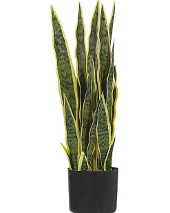 Kunstig plante SNAKE PLANT 63 cm Grøn