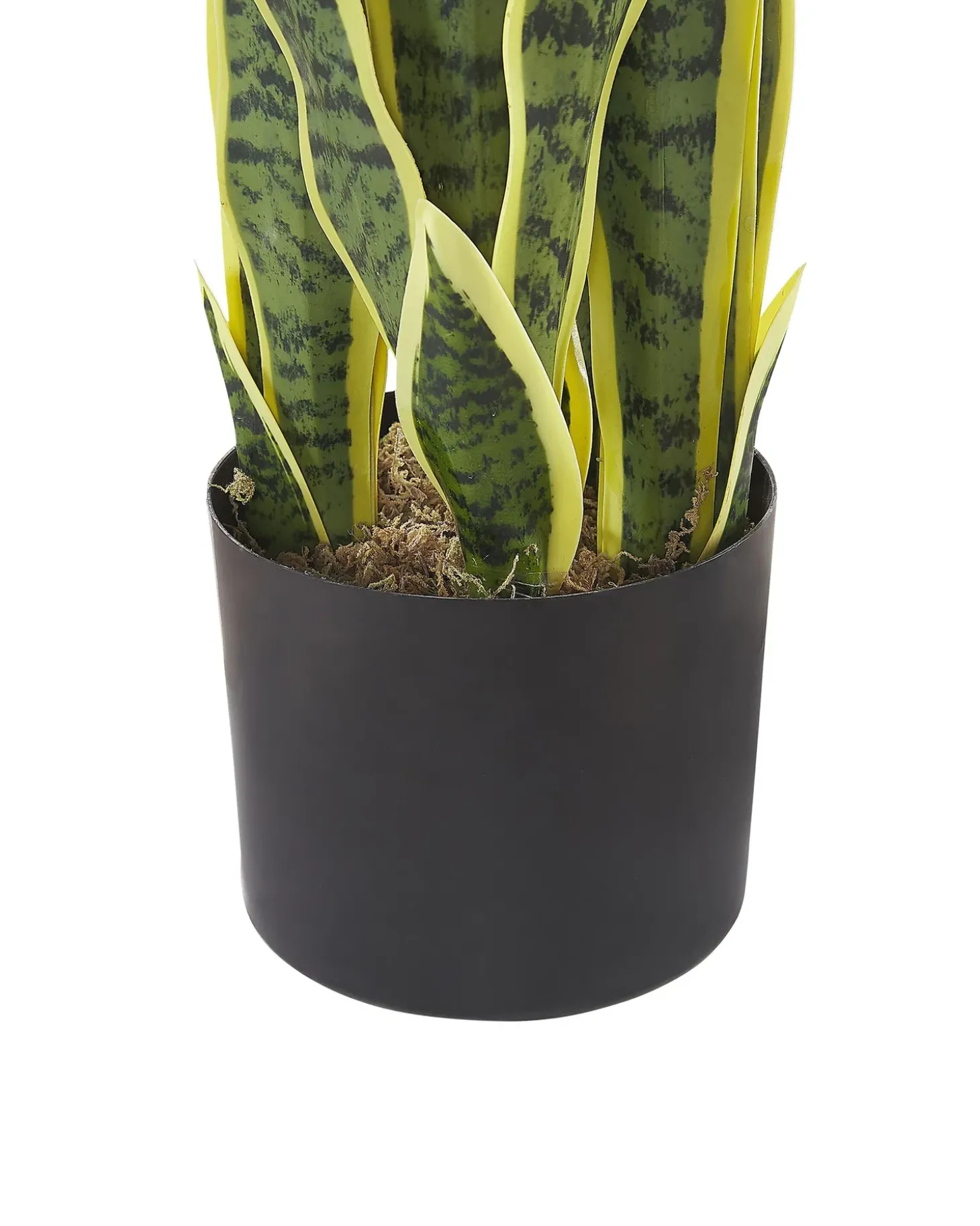 Kunstig plante SNAKE PLANT 63 cm Grøn