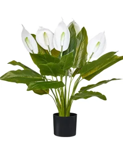 Kunstig plante SPATHPHYLLUM 70 cm Grøn