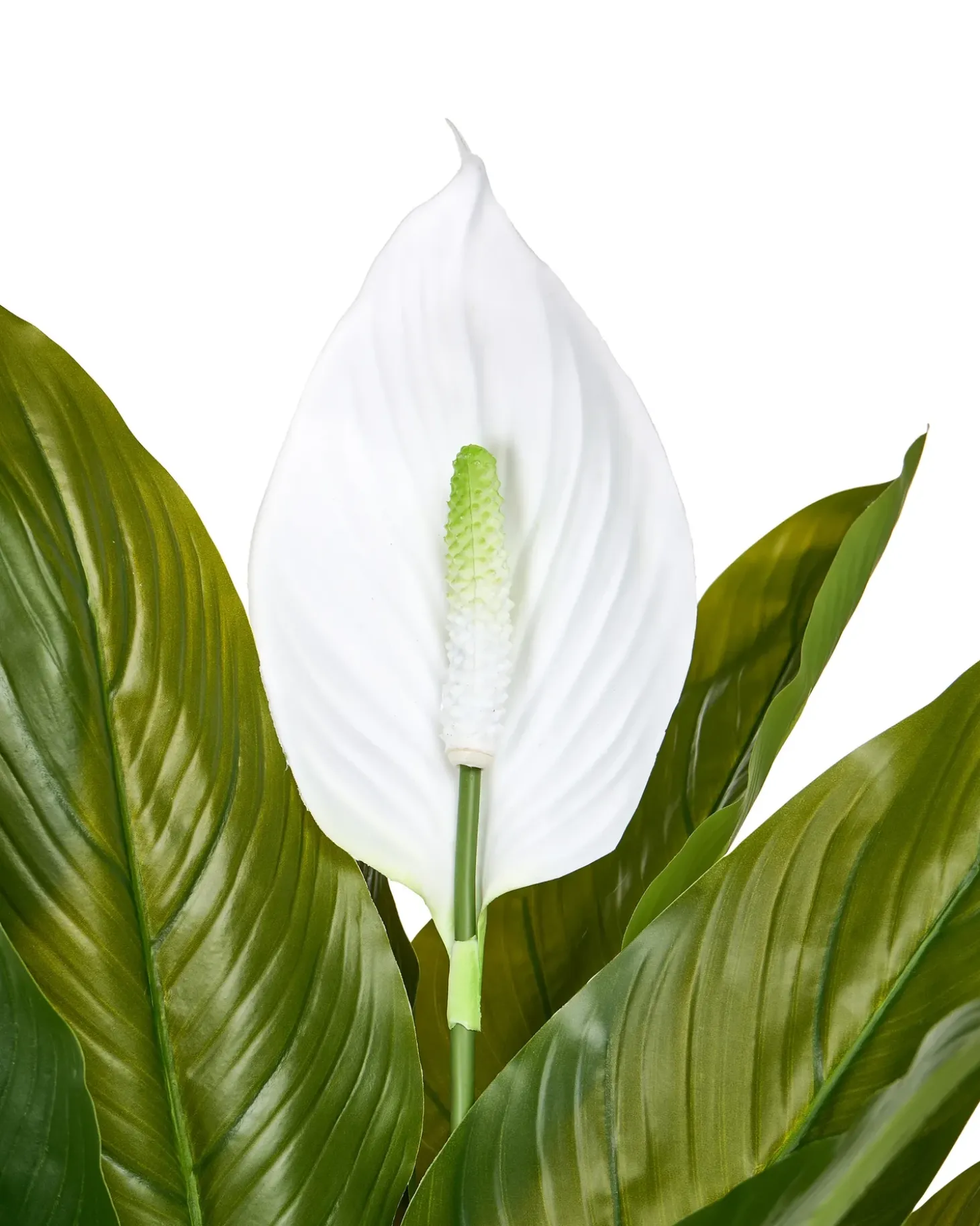Kunstig plante SPATHPHYLLUM 70 cm Grøn