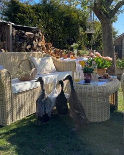 LIVADEIA 5 personers Loungesæt med bord Naturlig Rattan