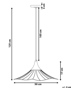 Loftlampe MAZARO Metal Sort