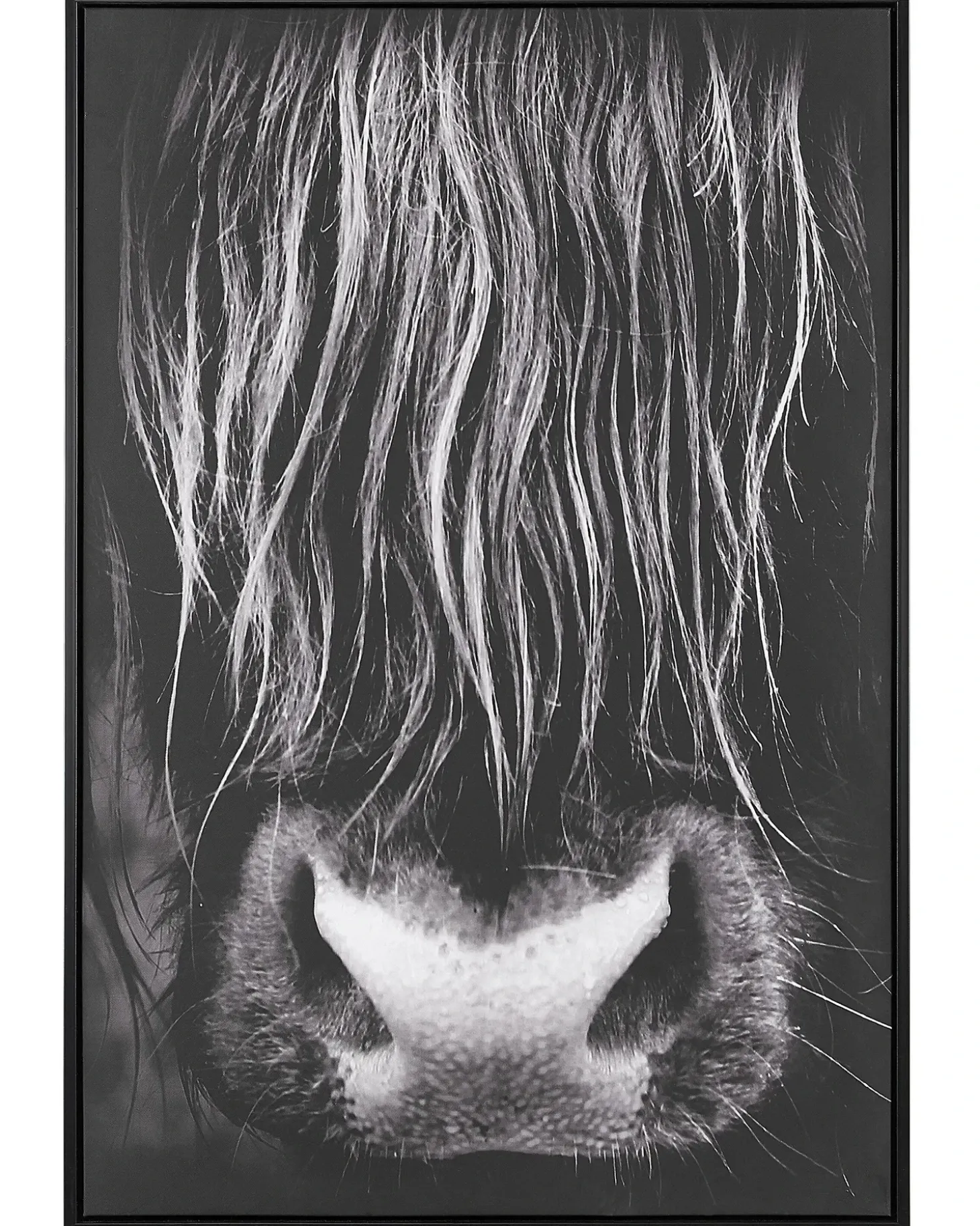 Lærred GALEATA Dyre motiv 63 x 99 cm Sort