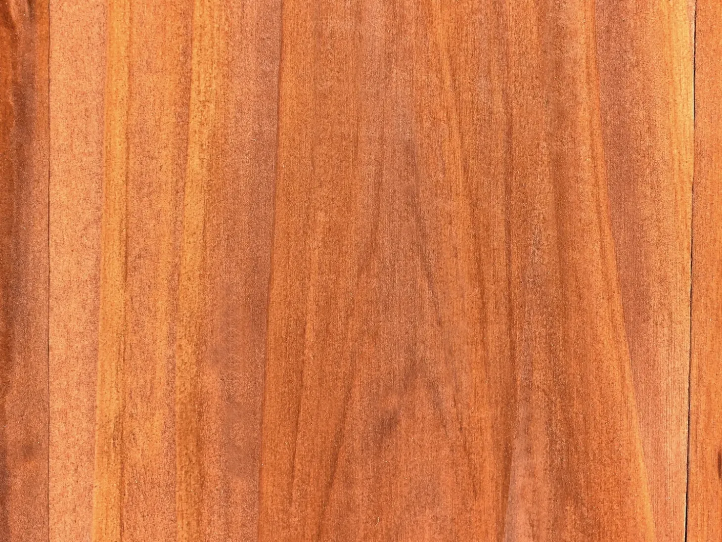 Lysthus SCOPELLO Ædelgran 303 cm 300 cm Brun/beige