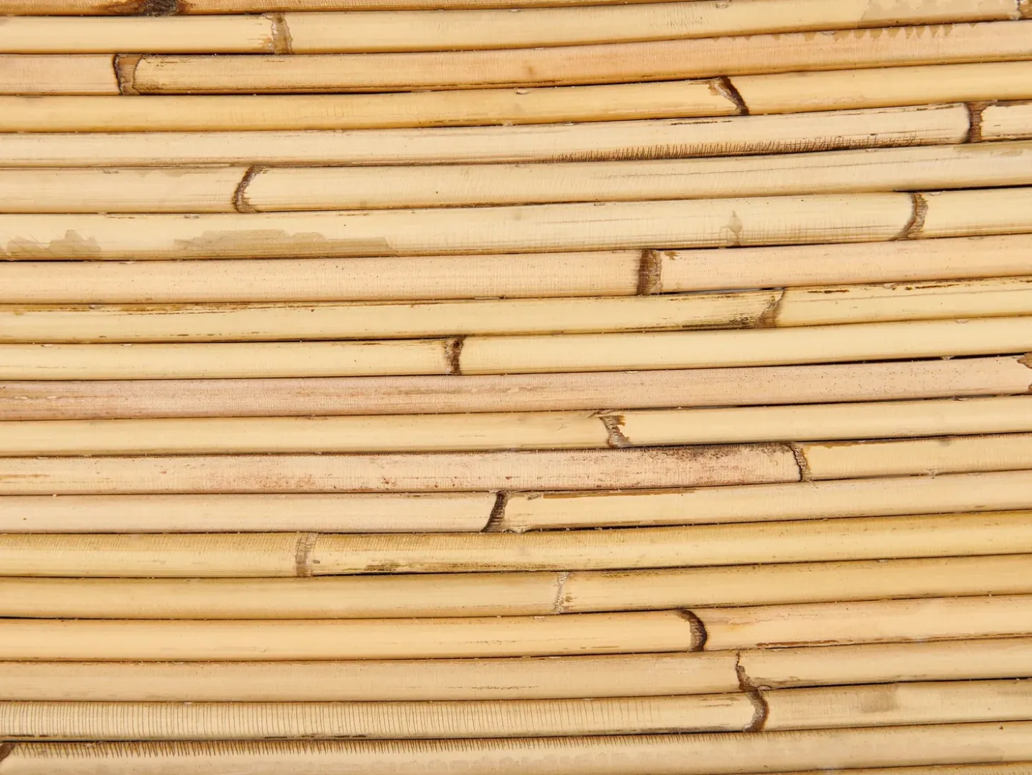 MAIORI 4 personers havesofasæt Naturlig Rattan