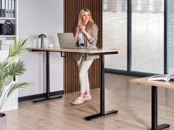 Manuelt justerbart hæve sænkebord DESTINAS 160 cm 72 cm