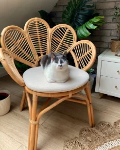 Påfuglestol FLORENTINE II Rattan Naturlig