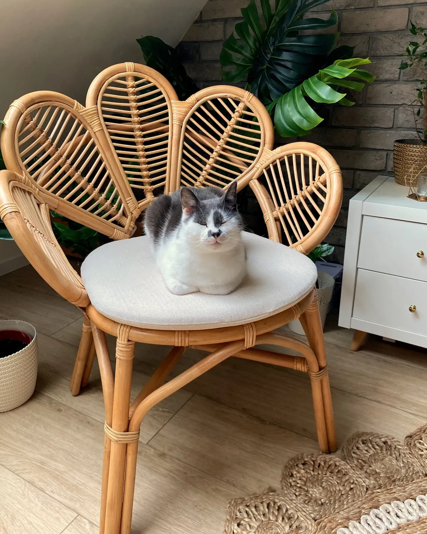 Påfuglestol FLORENTINE II Rattan Naturlig