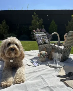 Picnic-kurv CANELE Flet Brun