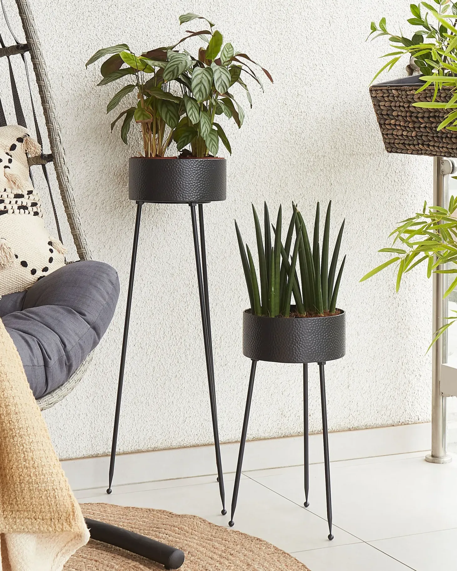 Plantestativ LEIKA 29 cm Sort Metal
