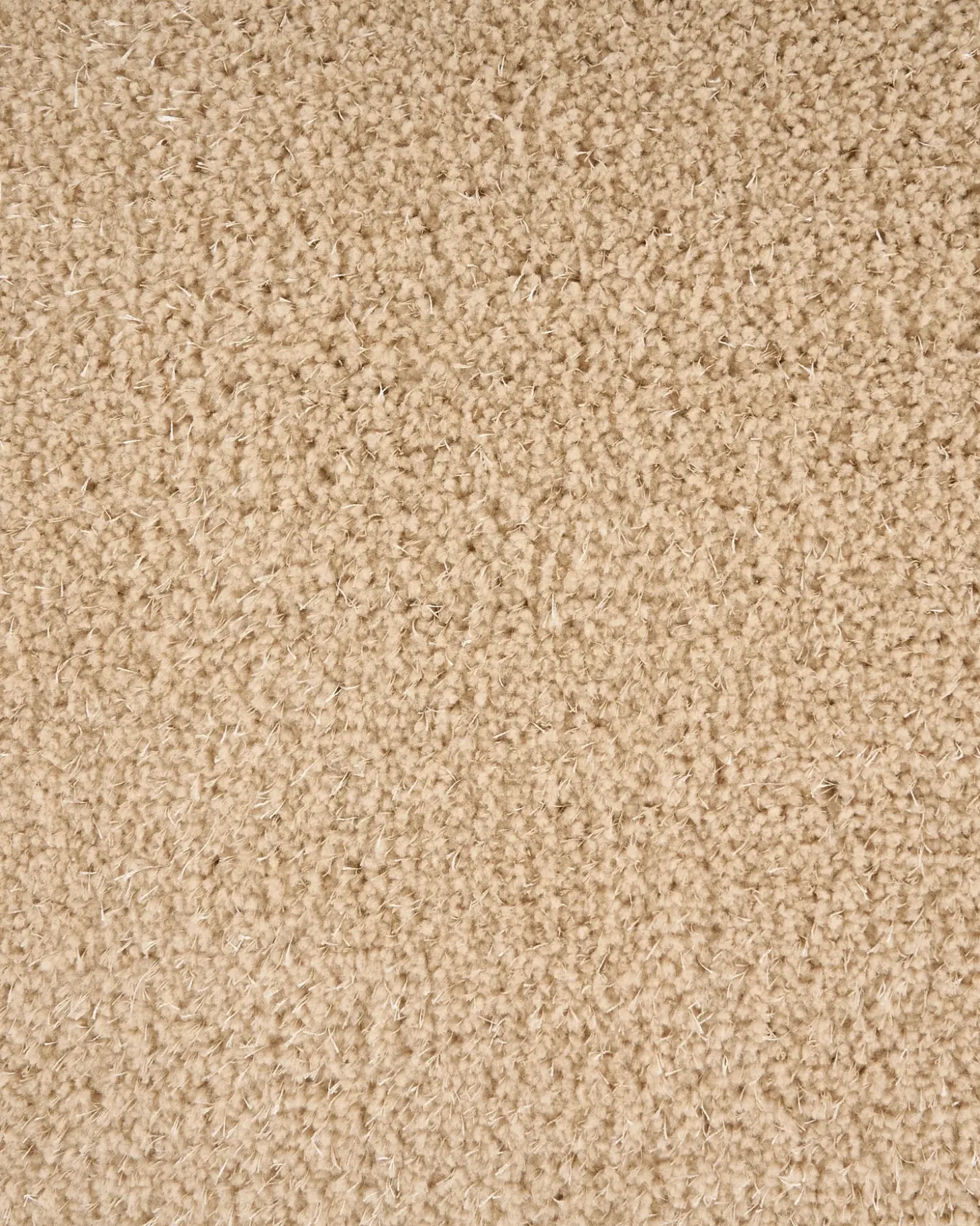 Shaggy gulvtæppe DEMRE Beige 160 x 230 cm