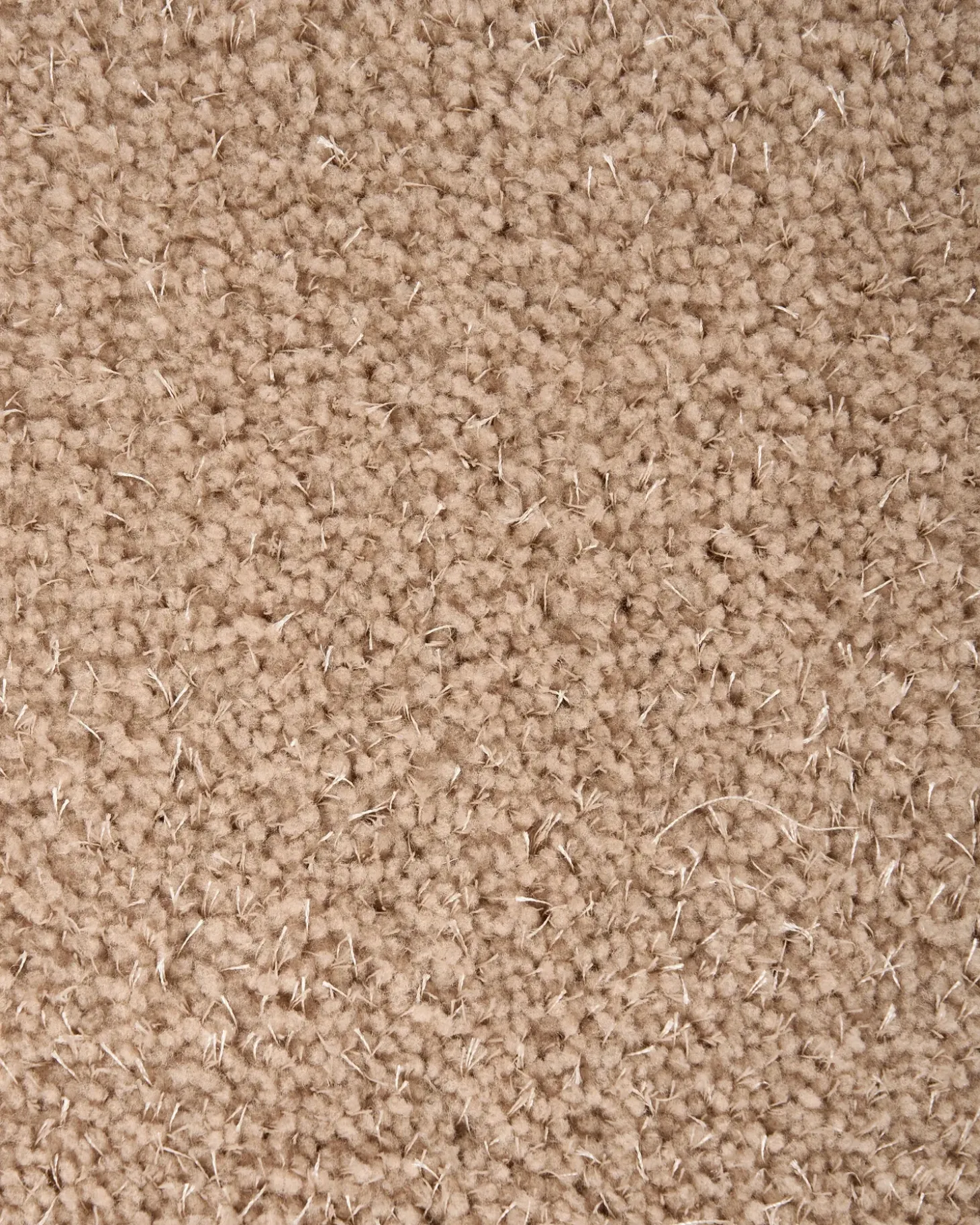 Shaggy gulvtæppe DEMRE Sand Beige 200 x 300 cm