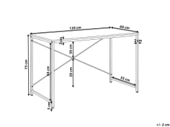 Skrivebord ANDASTE Hvid 120 cm 60 cm
