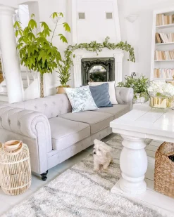 Sofa 3 personers CHESTERFIELD Lysegrå