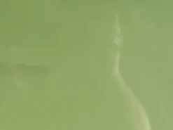 Sofabord ONDLE Grøn