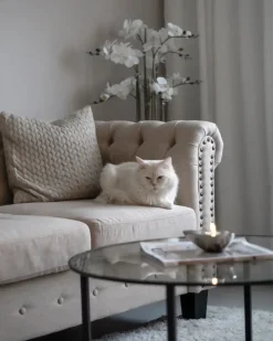 Sofa 3 personers CHESTERFIELD Beige