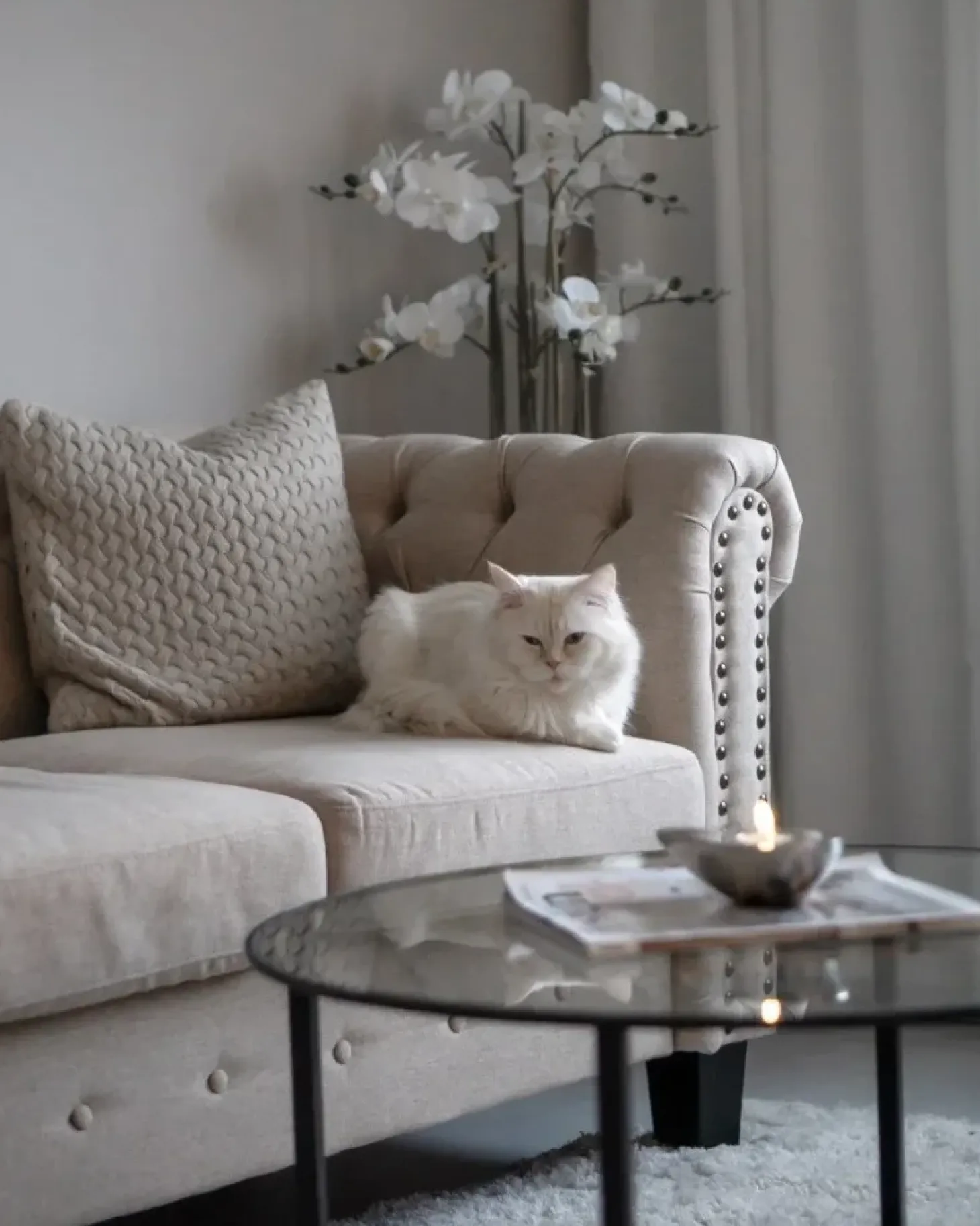 Sofa 3 personers CHESTERFIELD Beige