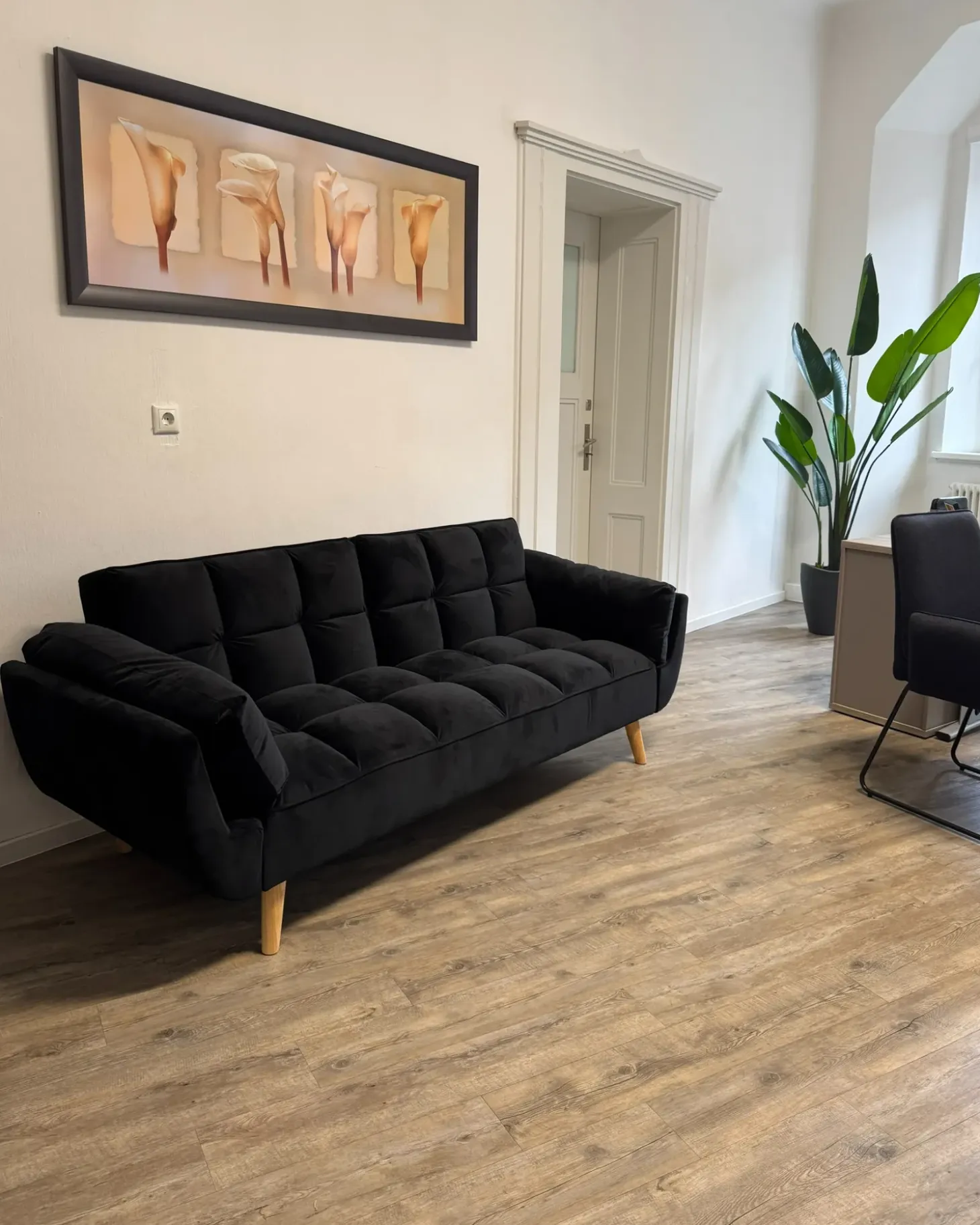 Sovesofa 3 personers ASBY Velour Sort