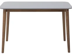 Spisebord MODESTO Grå 120 cm 80 cm Træ
