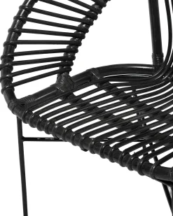 Spisebordsstol SARITA Rattan Sort