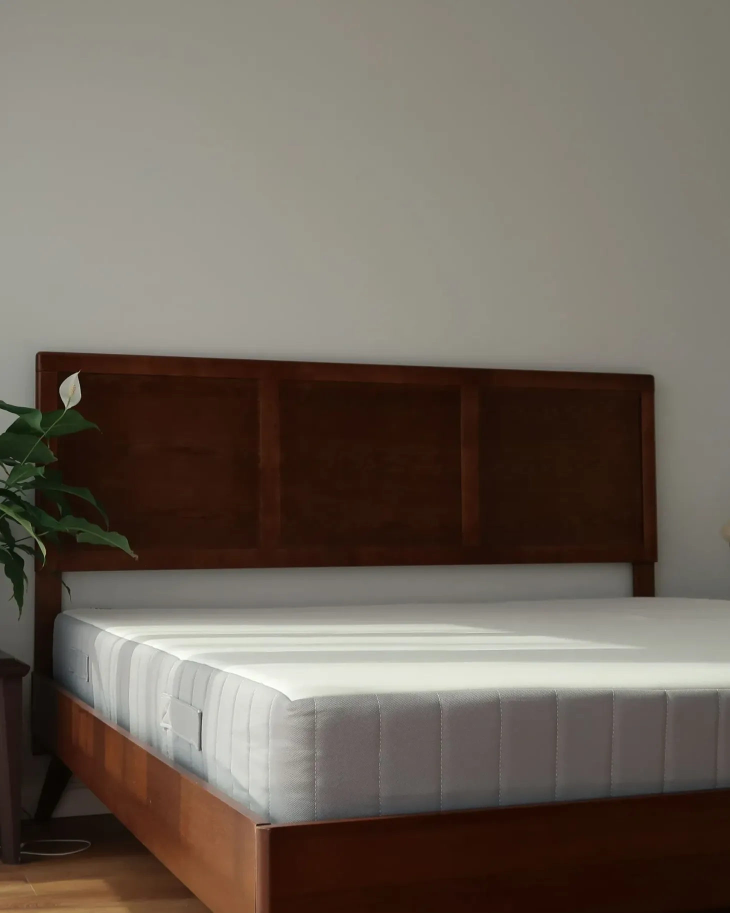 Springmadras ROOMY H2/3 Medium 180 x 200 cm