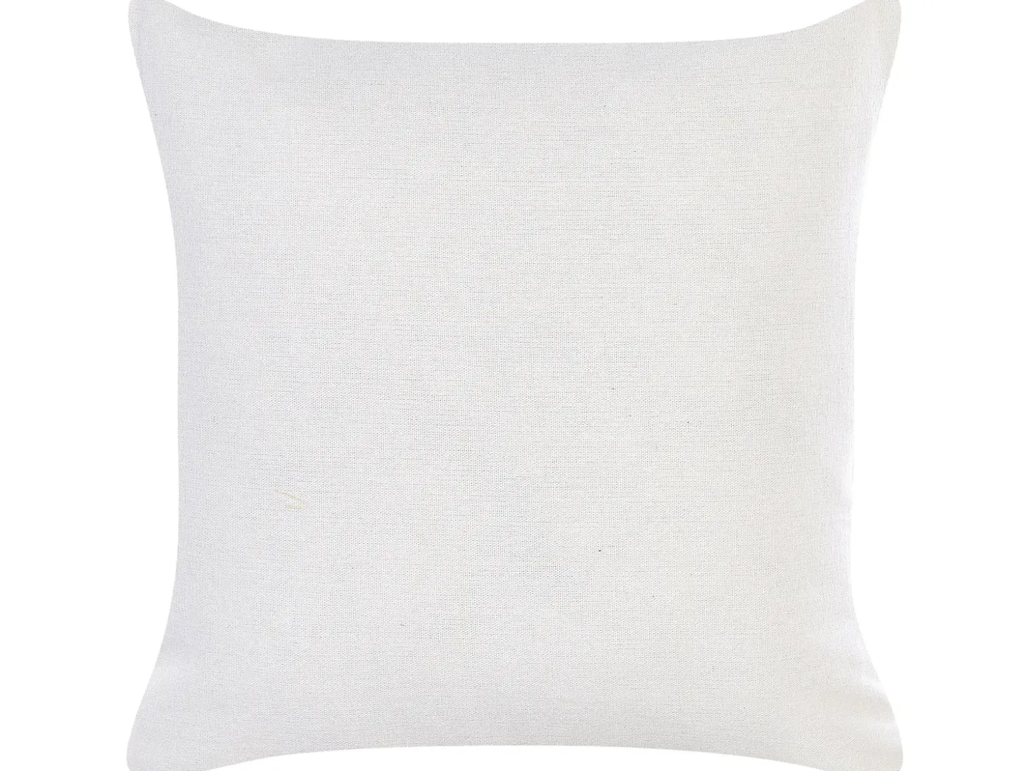 Sæt af 2 pyntepuder ABAL 45 x 45 cm Beige Dyremønster